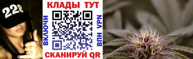 Бошки Шишки Бологое