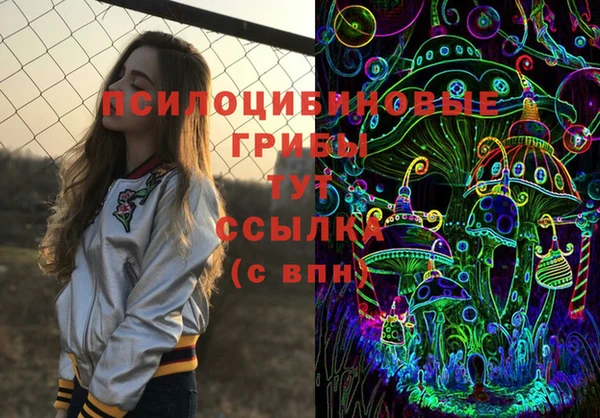 шишки Вязники
