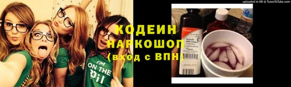 шишки Вязники