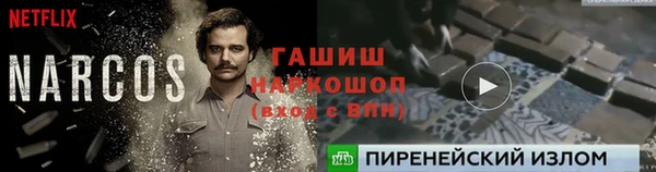 шишки Вязники