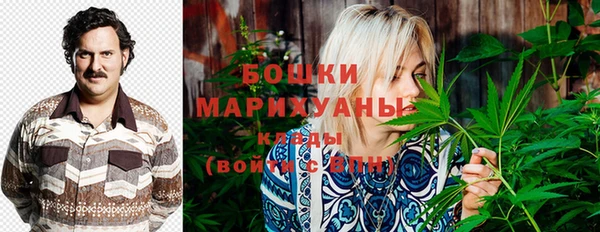 шишки Вязники