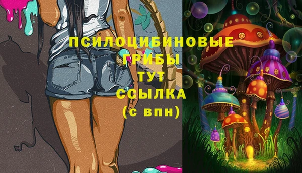 шишки Вязники