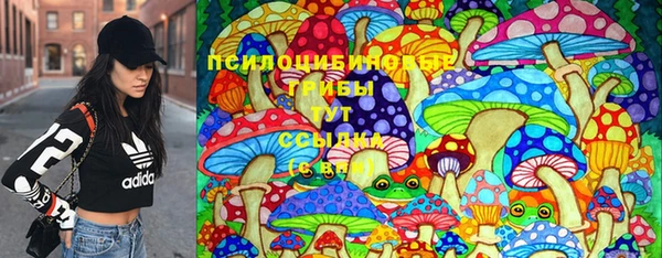 шишки Вязники
