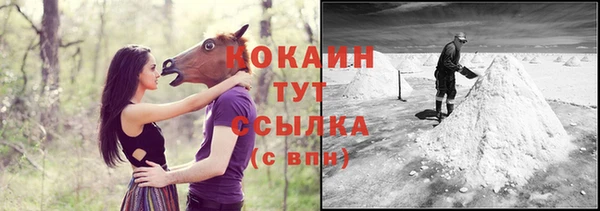 марки nbome Вяземский