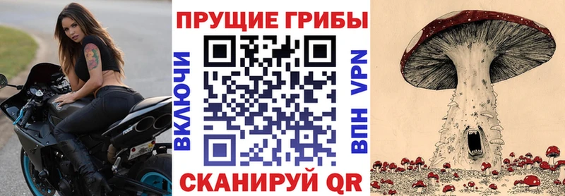 Псилоцибиновые грибы прущие грибы  Купить закладки  Бологое 